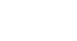 DINH-VAN